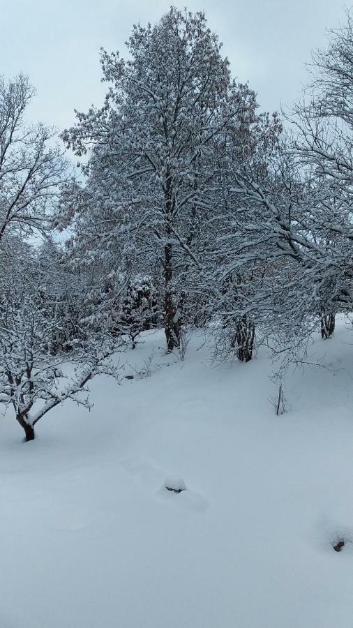 Joli Studio Sympa Saint-Jean-Saint-Nicolas Екстер'єр фото